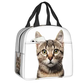 Vicces macska uzsonnás doboz szivárgásmentes hőhűtő Élelmiszer-szigetelt uzsonnás táska nőknek Gyermek iskolai munka piknik hordozható táskák