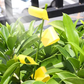 sárga matrica műanyag Speciális spektrum nem csípős vízálló és fényvédő kétoldalas ragasztós kertészeti tartozékok